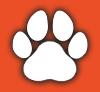 paw print icon